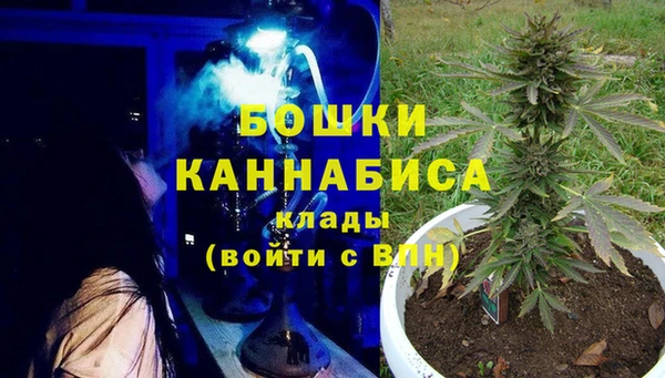 apvp Осташков