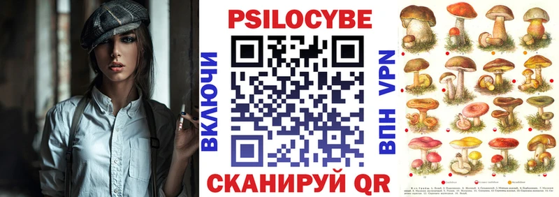 Купить где  Стрежевой  Псилоцибиновые грибы Cubensis 
